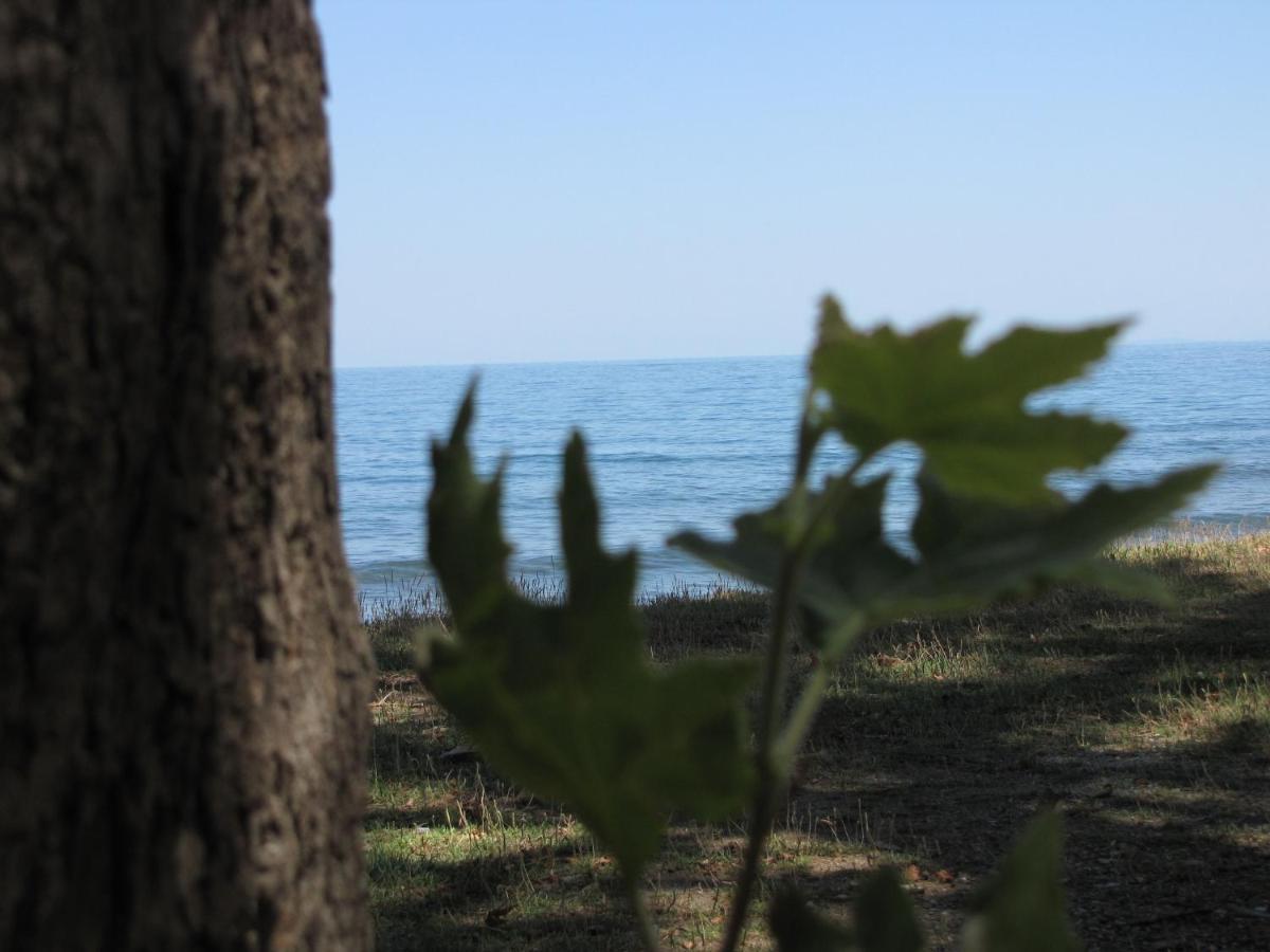 Hotel Hlidi Kokkino Nero Bagian luar foto